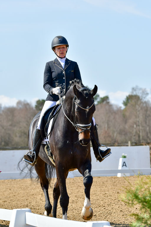 Reitsportzentrum Bremervörde | 160421Dressurpf L_121 