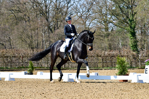 Reitsportzentrum Bremervörde | 160421Dressurpf L_122 