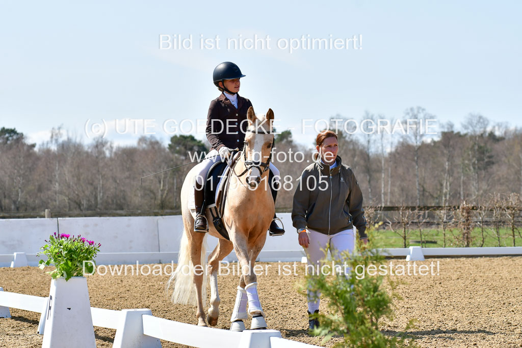 Reitsportzentrum Bremervörde | 160421Dressurpony A_001 