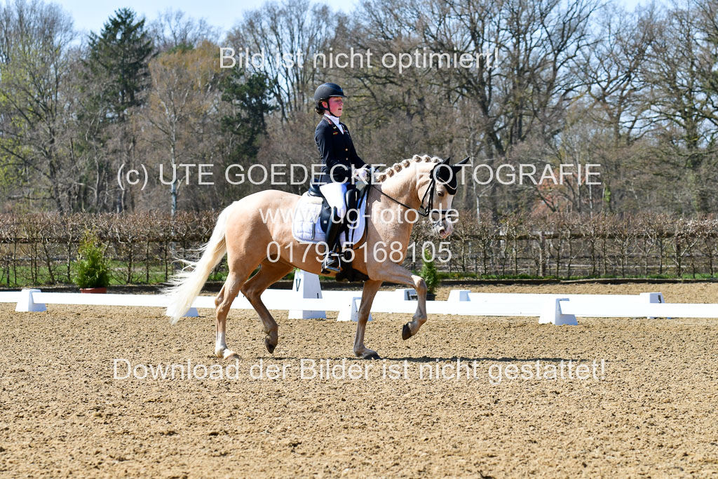 Reitsportzentrum Bremervörde | 160421Dressurpony A_003