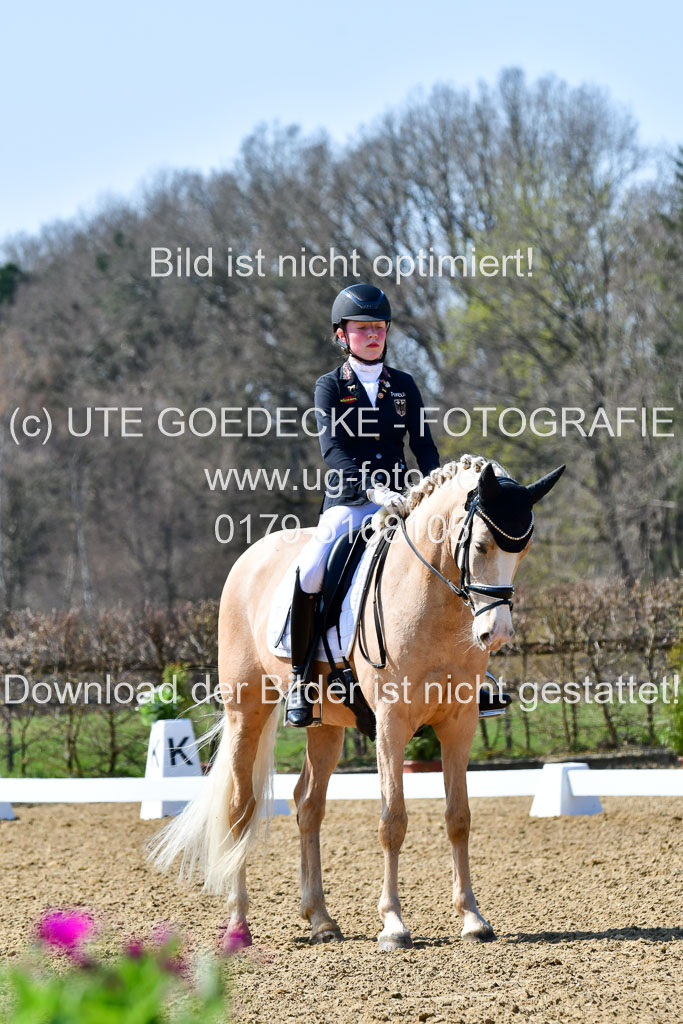 Reitsportzentrum Bremervörde | 160421Dressurpony A_004 