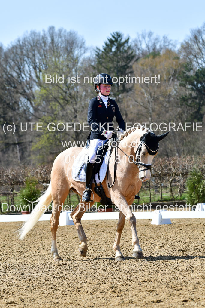 Reitsportzentrum Bremervörde | 160421Dressurpony A_005