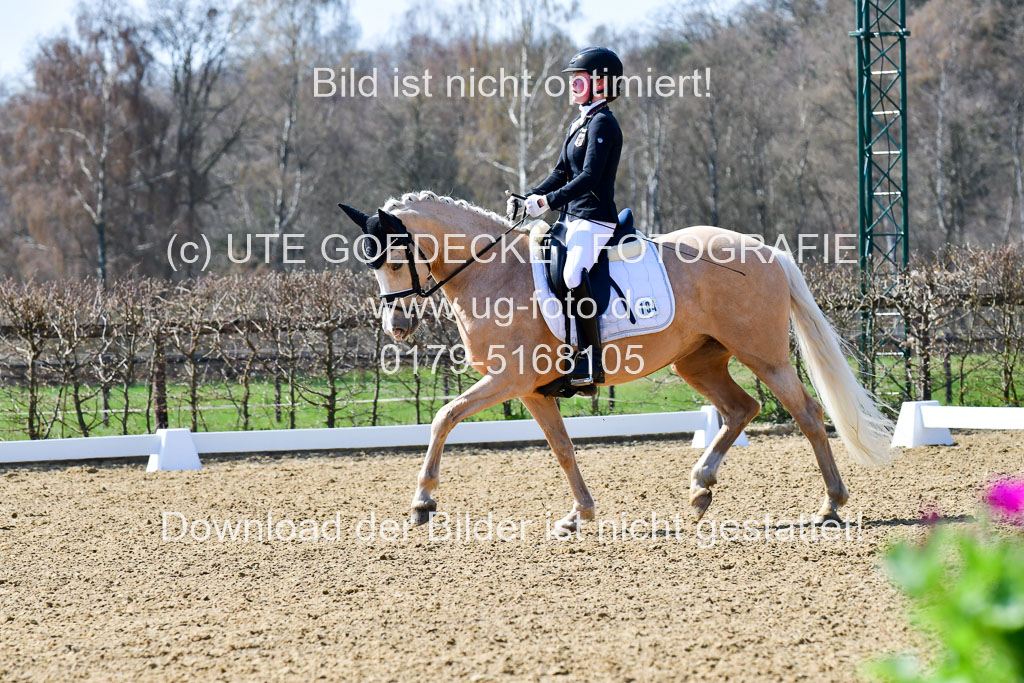 Reitsportzentrum Bremervörde | 160421Dressurpony A_006 