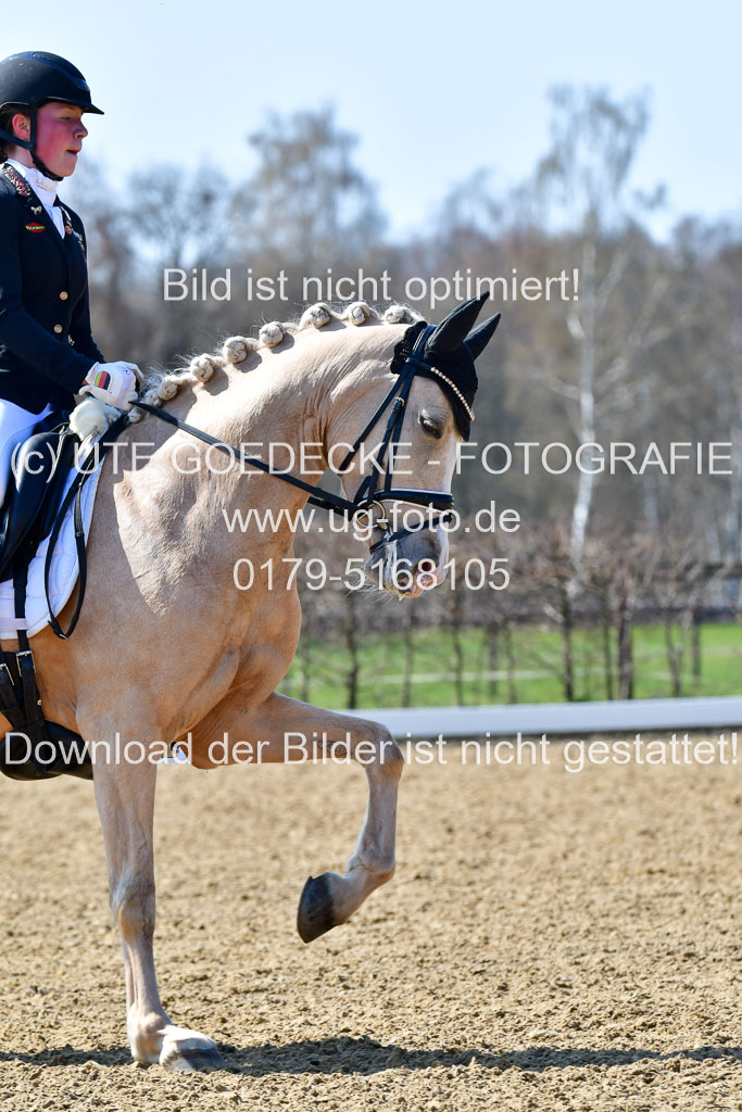 Reitsportzentrum Bremervörde | 160421Dressurpony A_007 