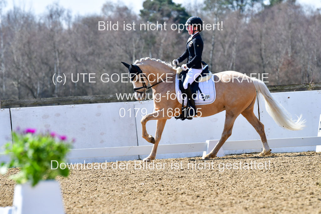 Reitsportzentrum Bremervörde | 160421Dressurpony A_009 