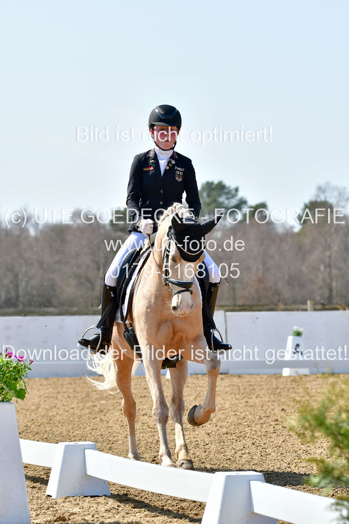 Reitsportzentrum Bremervörde | 160421Dressurpony A_010 