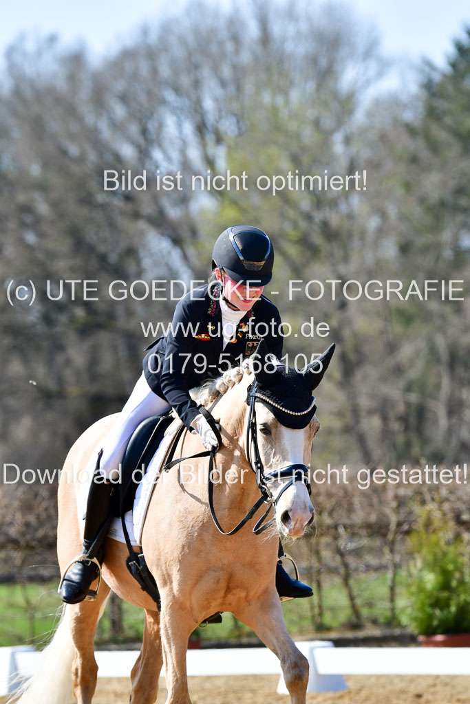 Reitsportzentrum Bremervörde | 160421Dressurpony A_011 