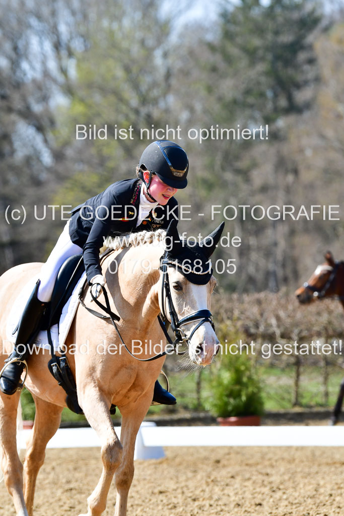 Reitsportzentrum Bremervörde | 160421Dressurpony A_012 