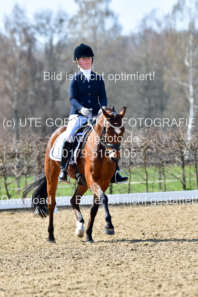 Reitsportzentrum Bremervörde | 160421Dressurpony A_019 