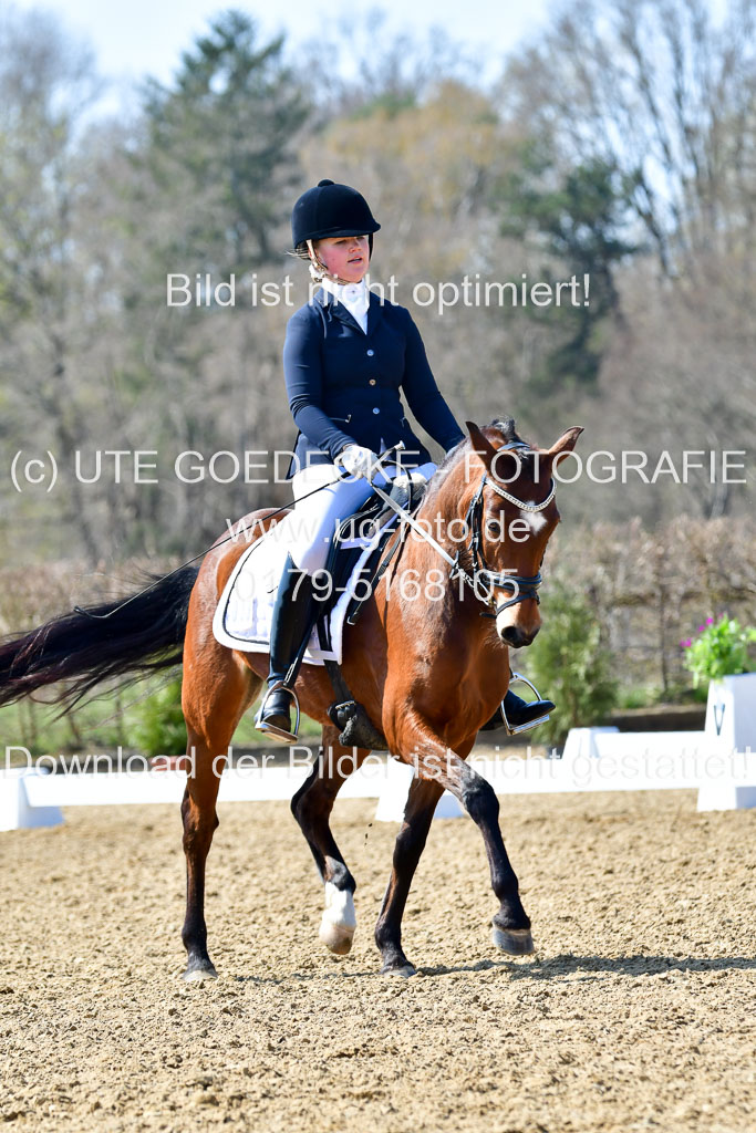 Reitsportzentrum Bremervörde | 160421Dressurpony A_020 