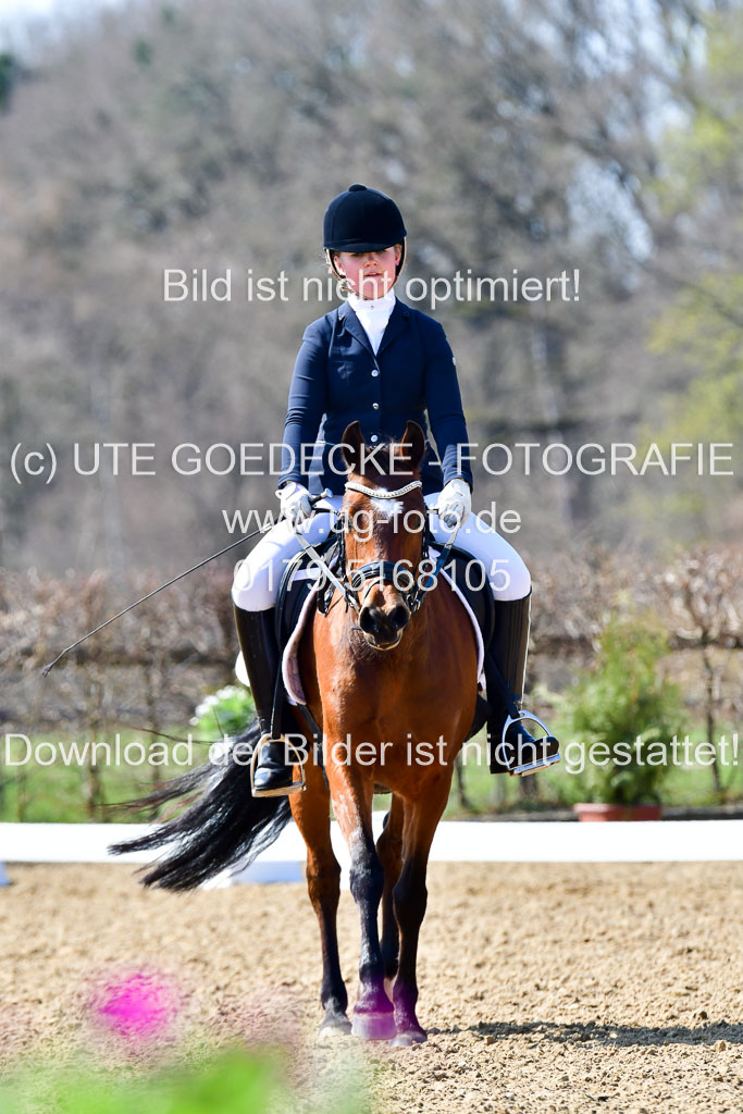 Reitsportzentrum Bremervörde | 160421Dressurpony A_021 