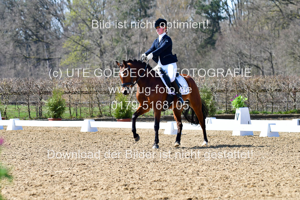 Reitsportzentrum Bremervörde | 160421Dressurpony A_026