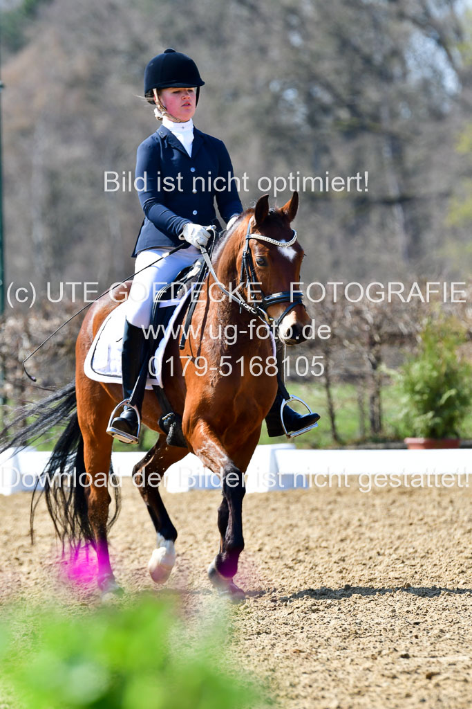 Reitsportzentrum Bremervörde | 160421Dressurpony A_027 