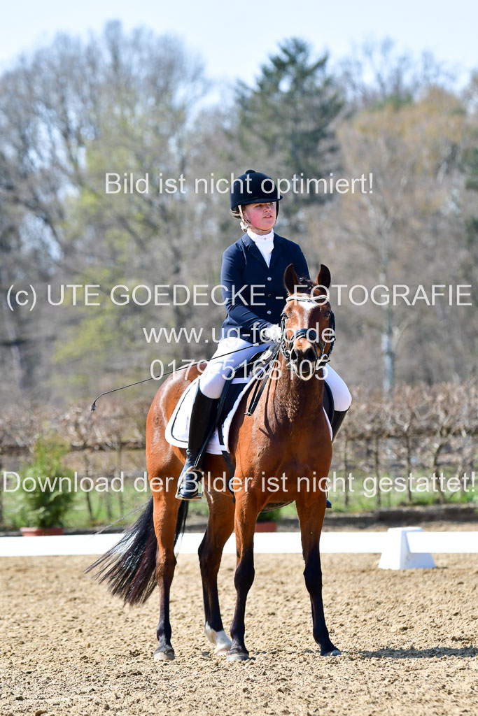 Reitsportzentrum Bremervörde | 160421Dressurpony A_028