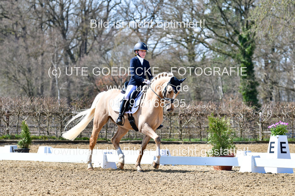 Reitsportzentrum Bremervörde | 160421Dressurpony A_030 