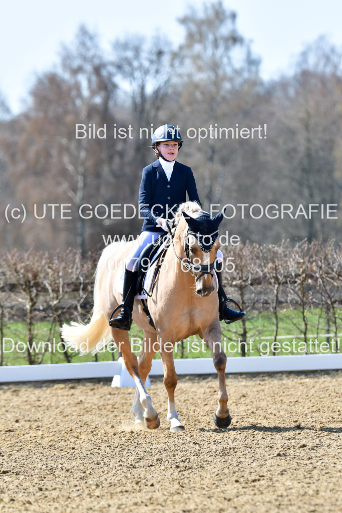 Reitsportzentrum Bremervörde | 160421Dressurpony A_032 