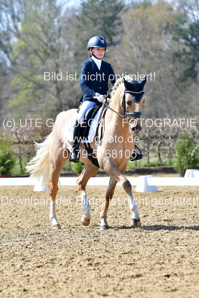 Reitsportzentrum Bremervörde | 160421Dressurpony A_034 