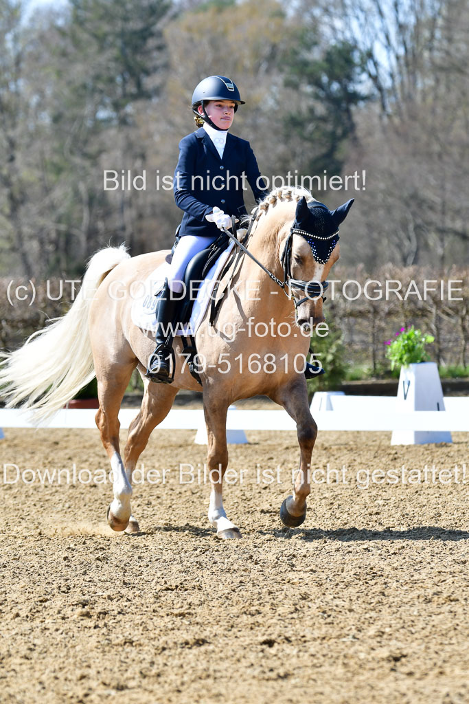 Reitsportzentrum Bremervörde | 160421Dressurpony A_035 