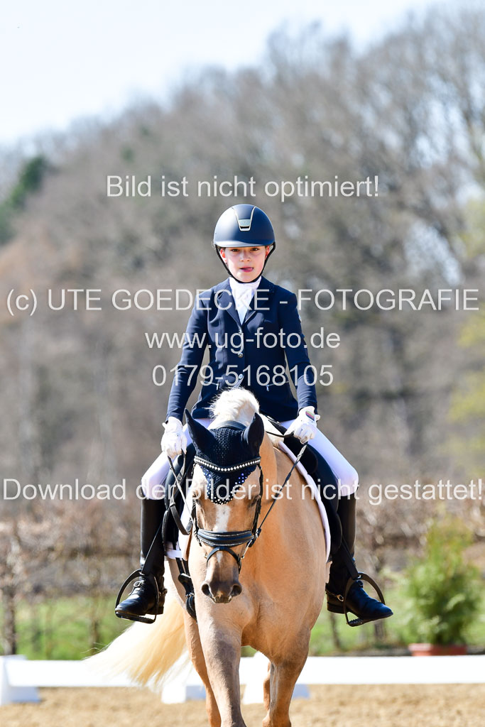 Reitsportzentrum Bremervörde | 160421Dressurpony A_037 