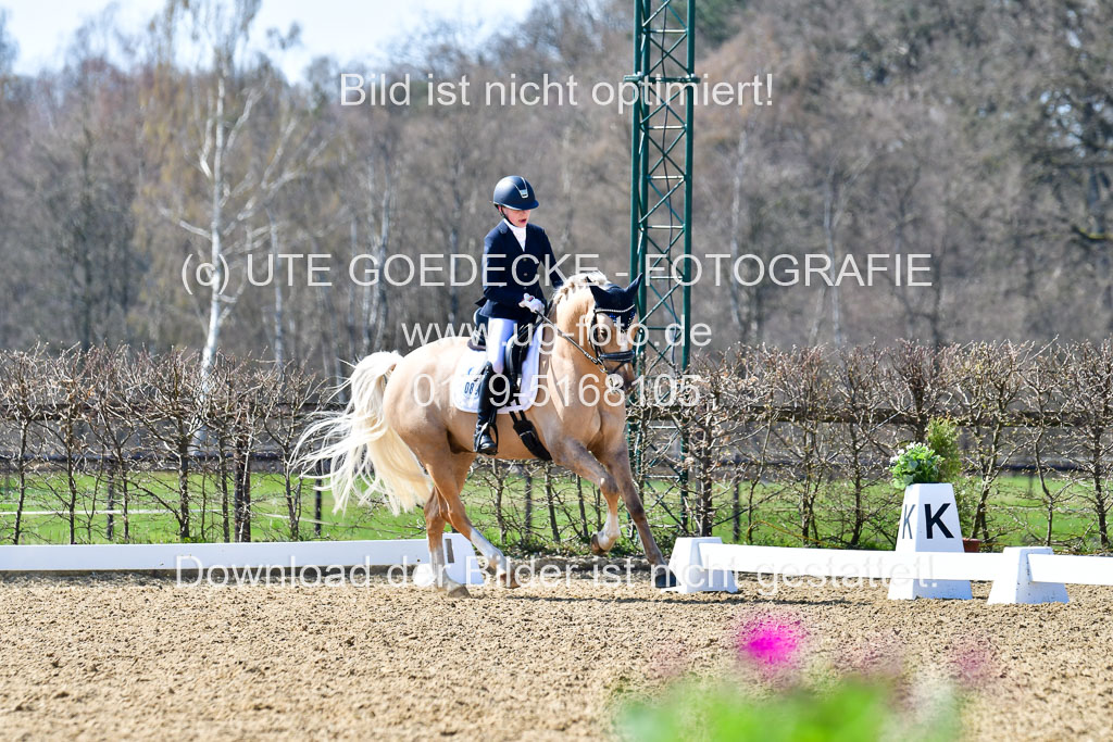 Reitsportzentrum Bremervörde | 160421Dressurpony A_041 