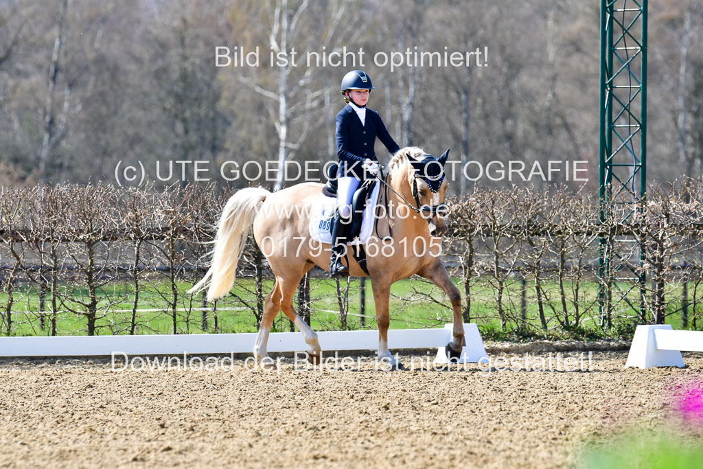 Reitsportzentrum Bremervörde | 160421Dressurpony A_042 