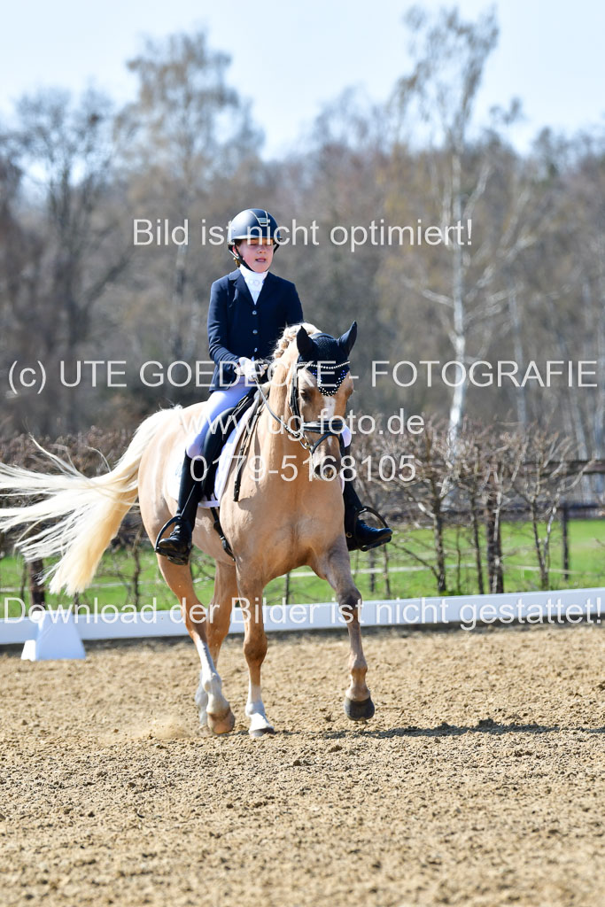 Reitsportzentrum Bremervörde | 160421Dressurpony A_043
