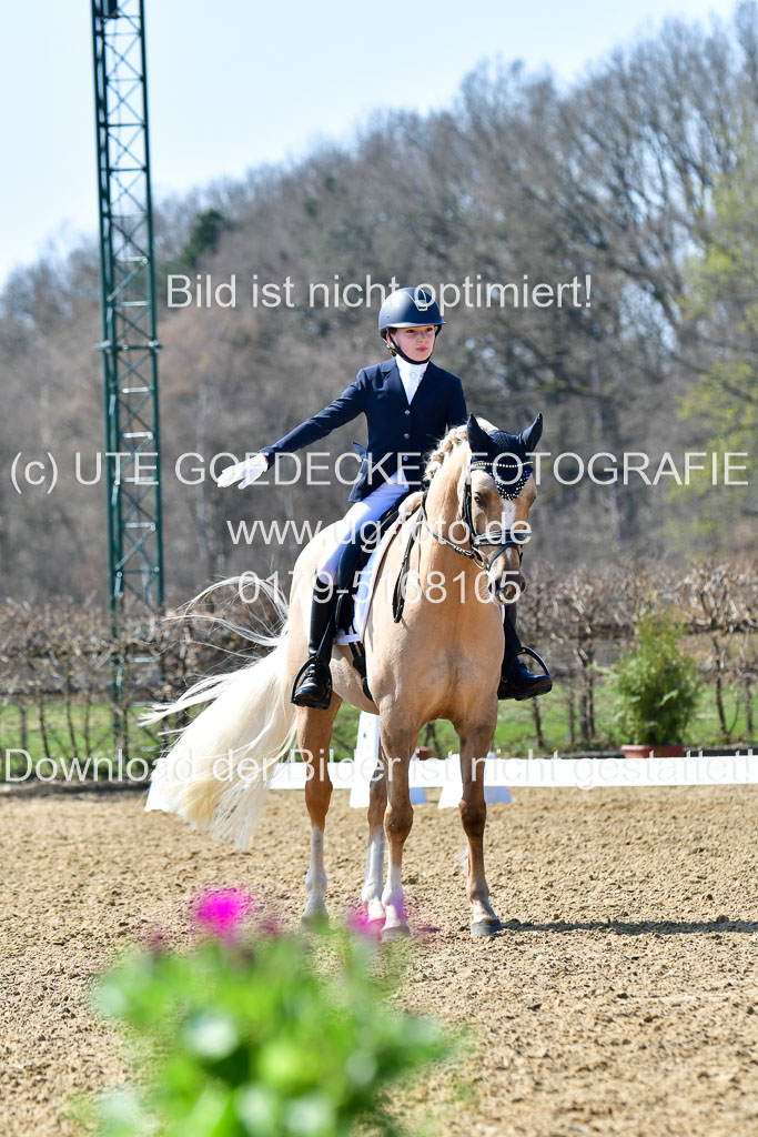 Reitsportzentrum Bremervörde | 160421Dressurpony A_045 