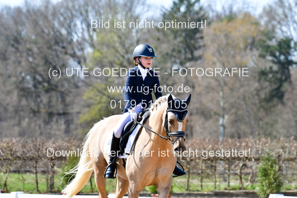 Reitsportzentrum Bremervörde | 160421Dressurpony A_046