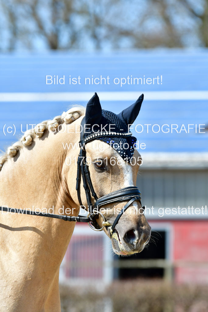 Reitsportzentrum Bremervörde | 160421Dressurpony A_047 