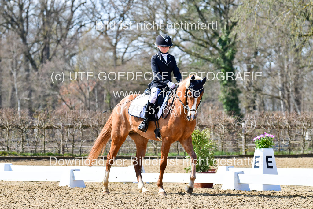 Reitsportzentrum Bremervörde | 160421Dressurpony A_049 