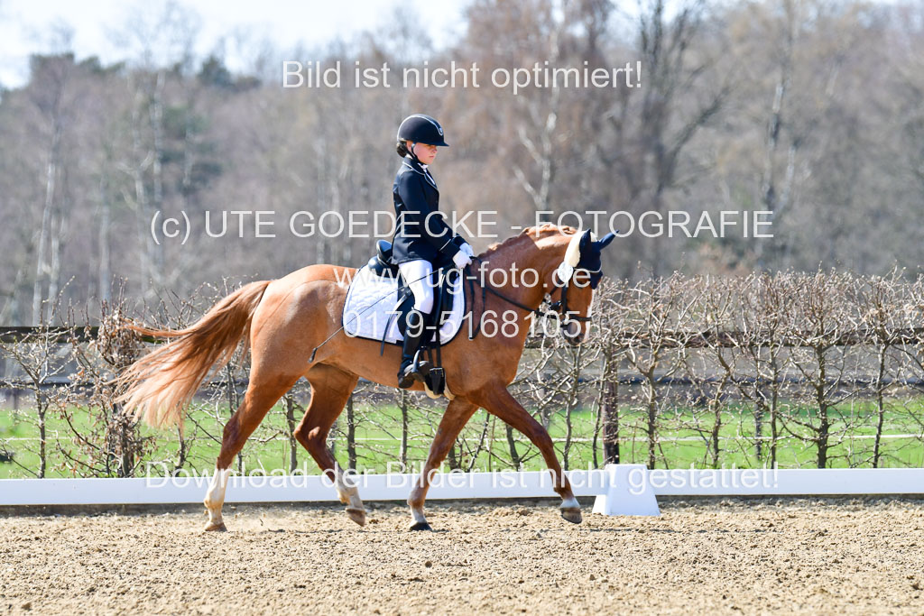 Reitsportzentrum Bremervörde | 160421Dressurpony A_050 