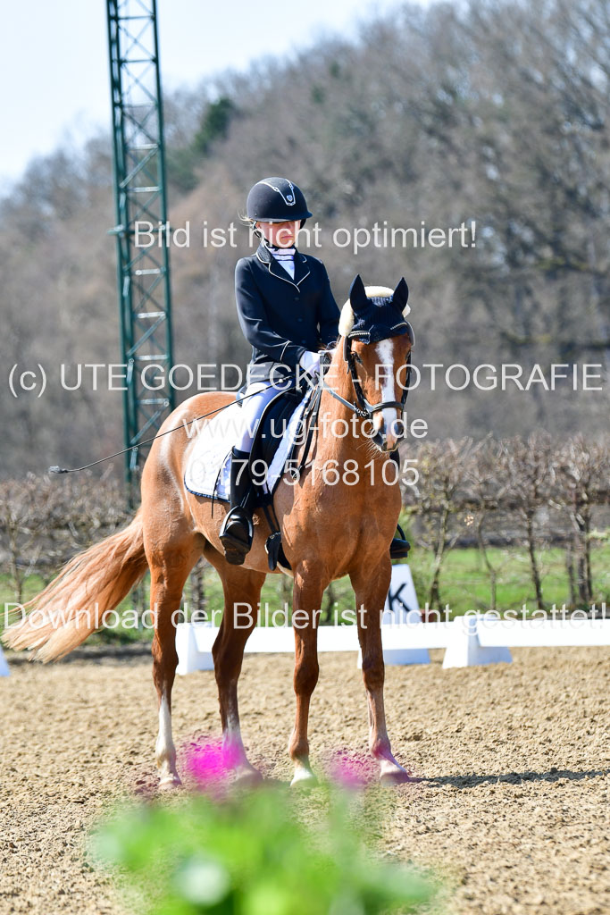 Reitsportzentrum Bremervörde | 160421Dressurpony A_052 