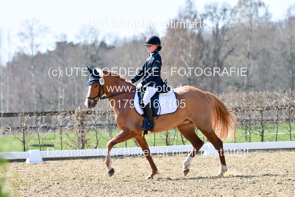 Reitsportzentrum Bremervörde | 160421Dressurpony A_053 