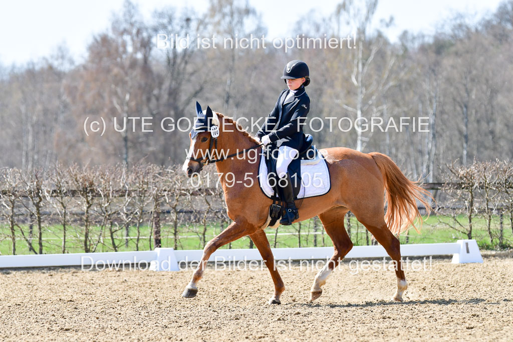 Reitsportzentrum Bremervörde | 160421Dressurpony A_054 