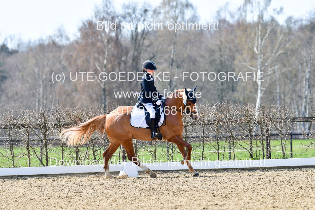 Reitsportzentrum Bremervörde | 160421Dressurpony A_056 