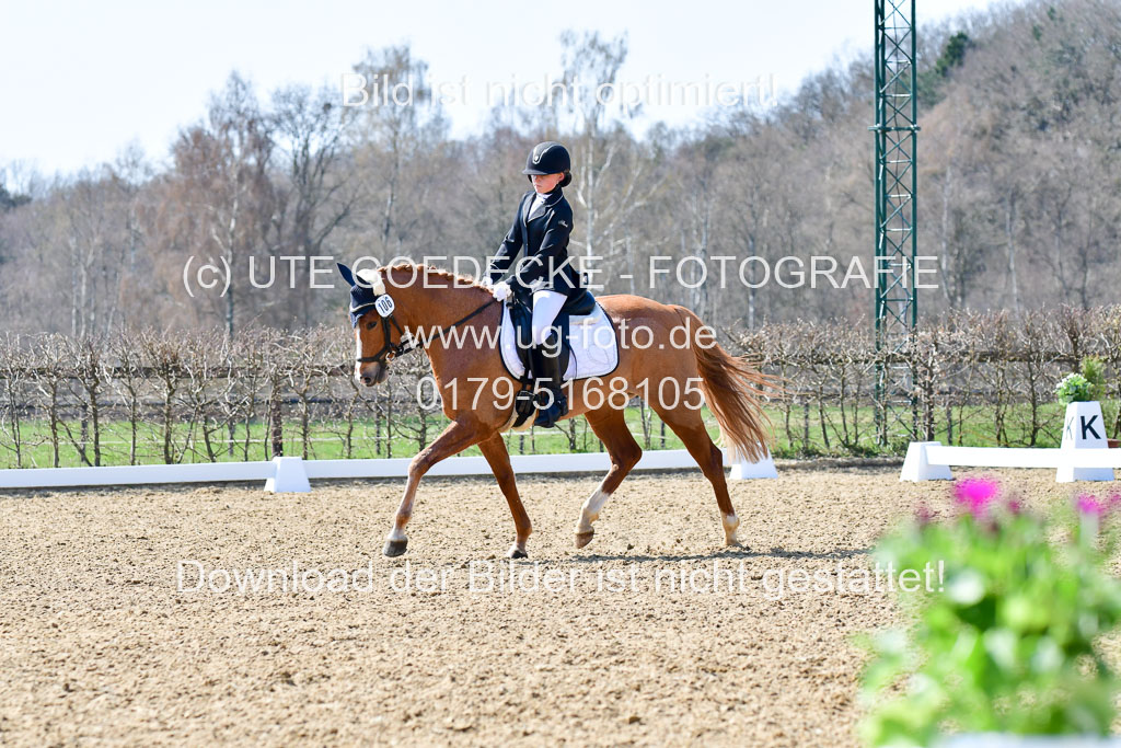 Reitsportzentrum Bremervörde | 160421Dressurpony A_057 