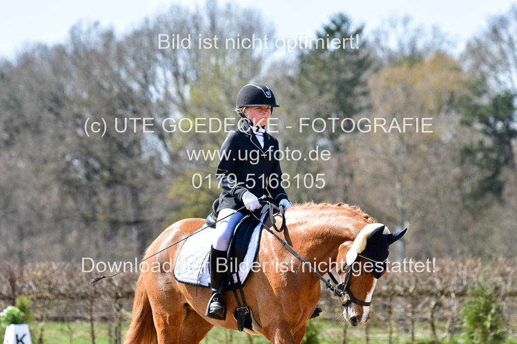 Reitsportzentrum Bremervörde | 160421Dressurpony A_058 