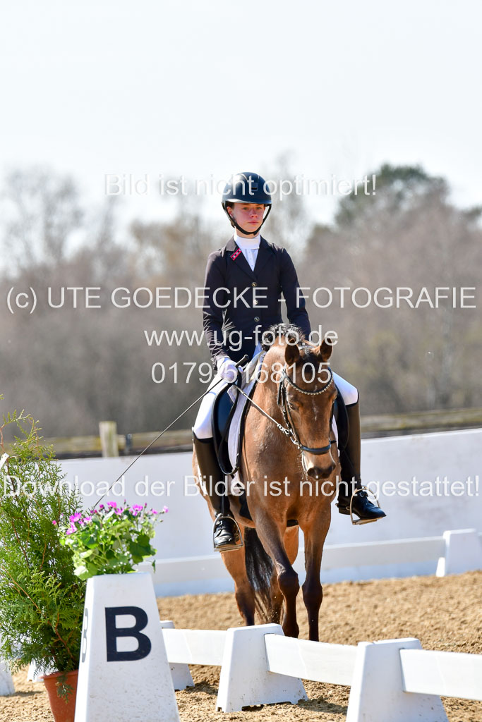 Reitsportzentrum Bremervörde | 160421Dressurpony A_059 