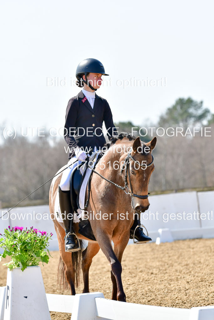 Reitsportzentrum Bremervörde | 160421Dressurpony A_060 