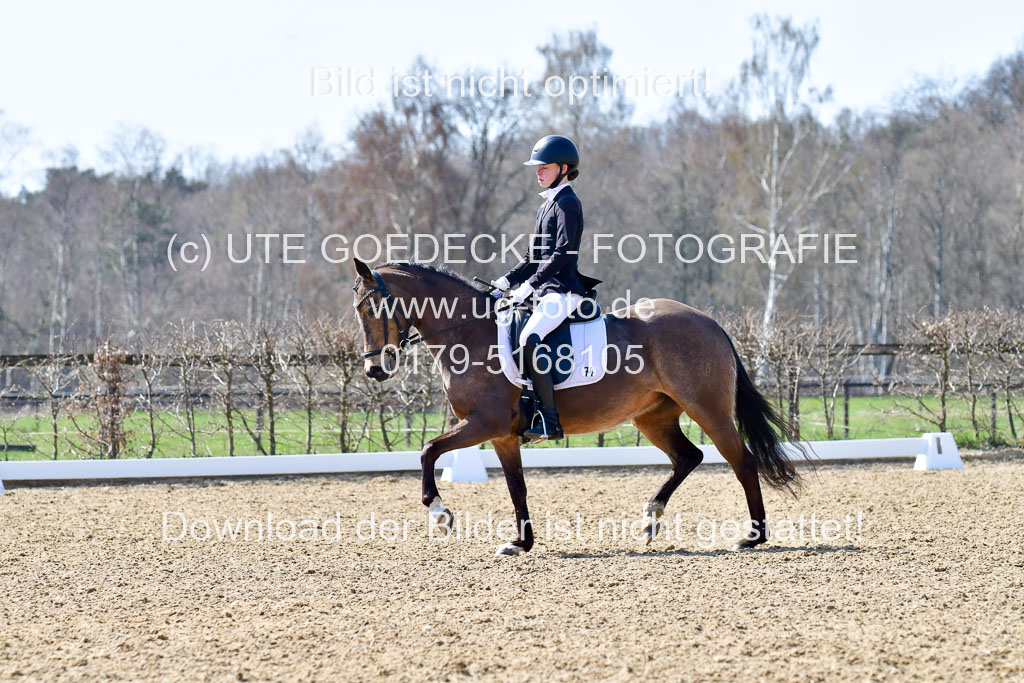 Reitsportzentrum Bremervörde | 160421Dressurpony A_064 