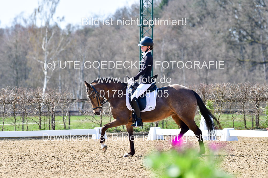 Reitsportzentrum Bremervörde | 160421Dressurpony A_066 