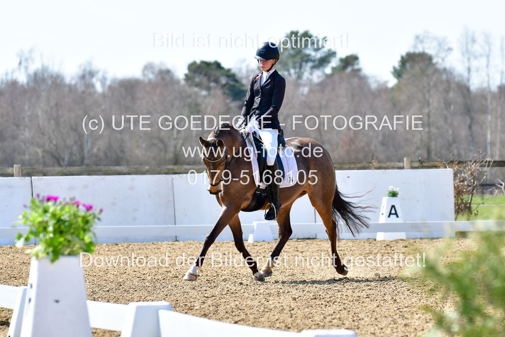 Reitsportzentrum Bremervörde | 160421Dressurpony A_067 