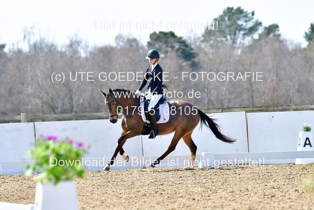 Reitsportzentrum Bremervörde | 160421Dressurpony A_068 