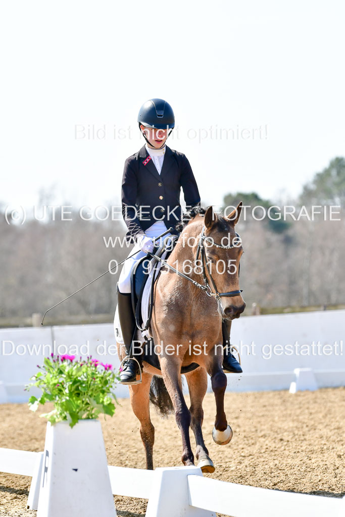 Reitsportzentrum Bremervörde | 160421Dressurpony A_069