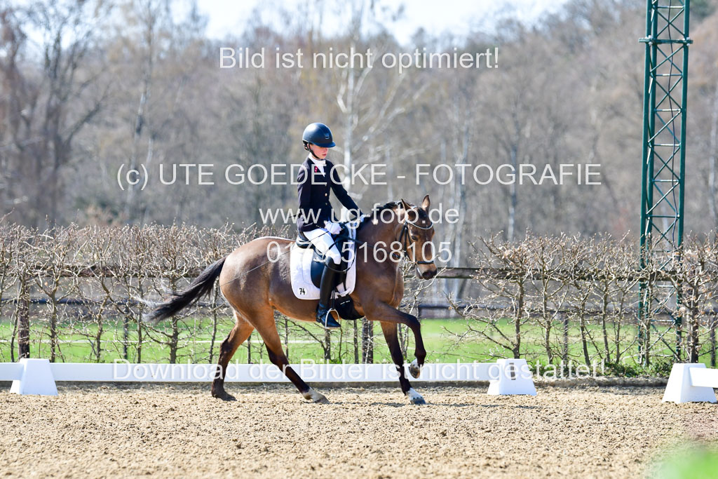 Reitsportzentrum Bremervörde | 160421Dressurpony A_070 