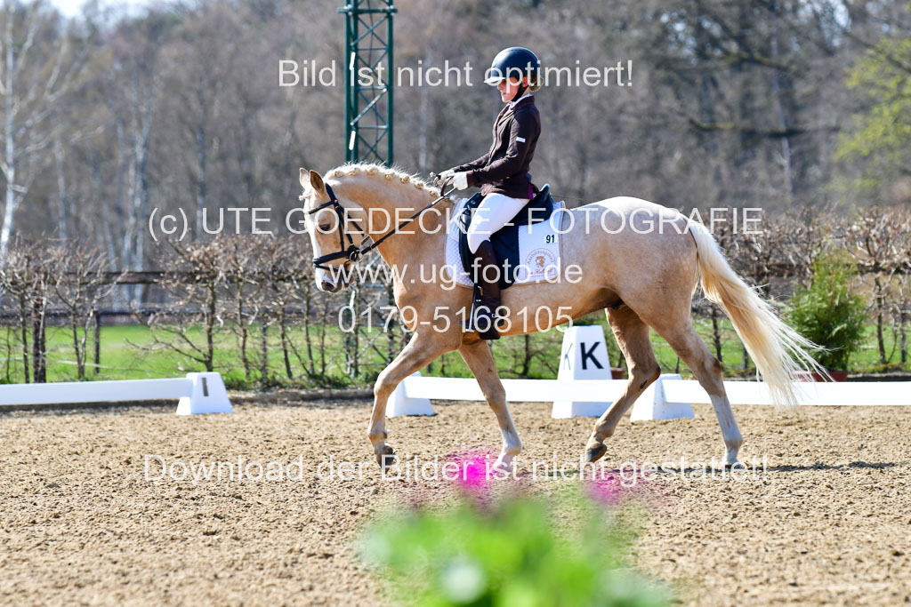 Reitsportzentrum Bremervörde | 160421Dressurpony A_072
