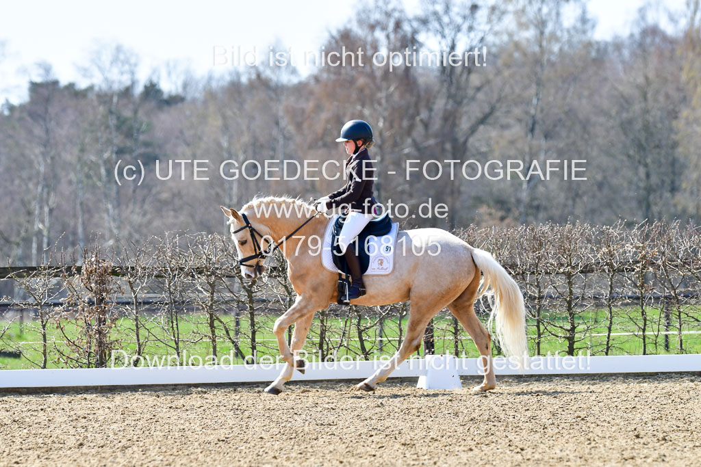 Reitsportzentrum Bremervörde | 160421Dressurpony A_074 