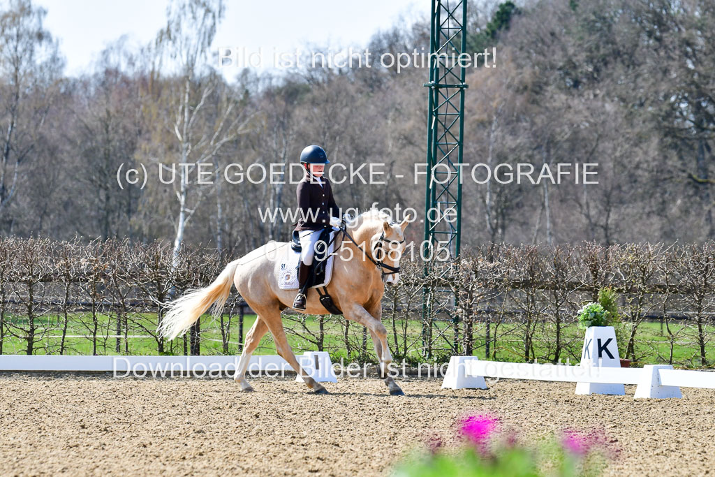 Reitsportzentrum Bremervörde | 160421Dressurpony A_077 