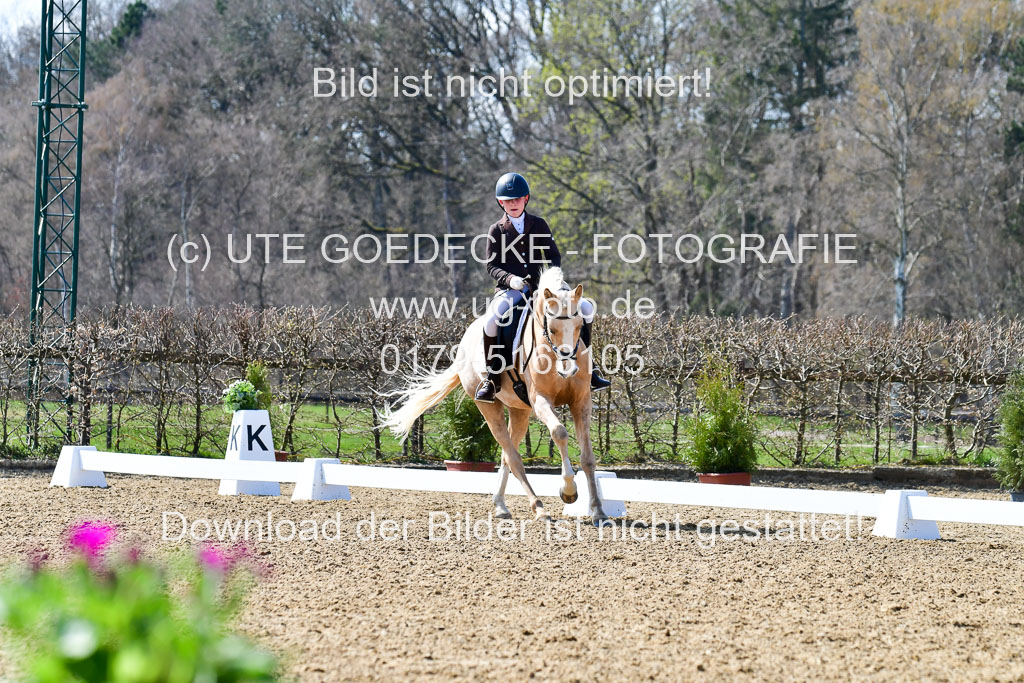 Reitsportzentrum Bremervörde | 160421Dressurpony A_078 