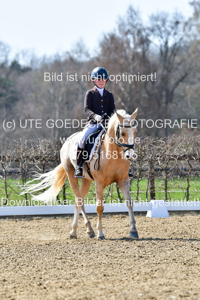 Reitsportzentrum Bremervörde | 160421Dressurpony A_079 